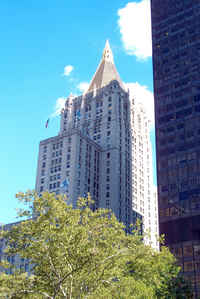 New York Life Building